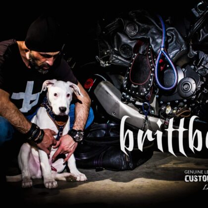 The King's Protector Harness XS - L
