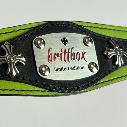 The Noble Protector's Collar XS - L